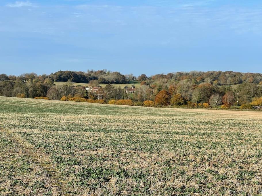 Annex At Southfields In Idyllic Hampshire Village * Greywell
